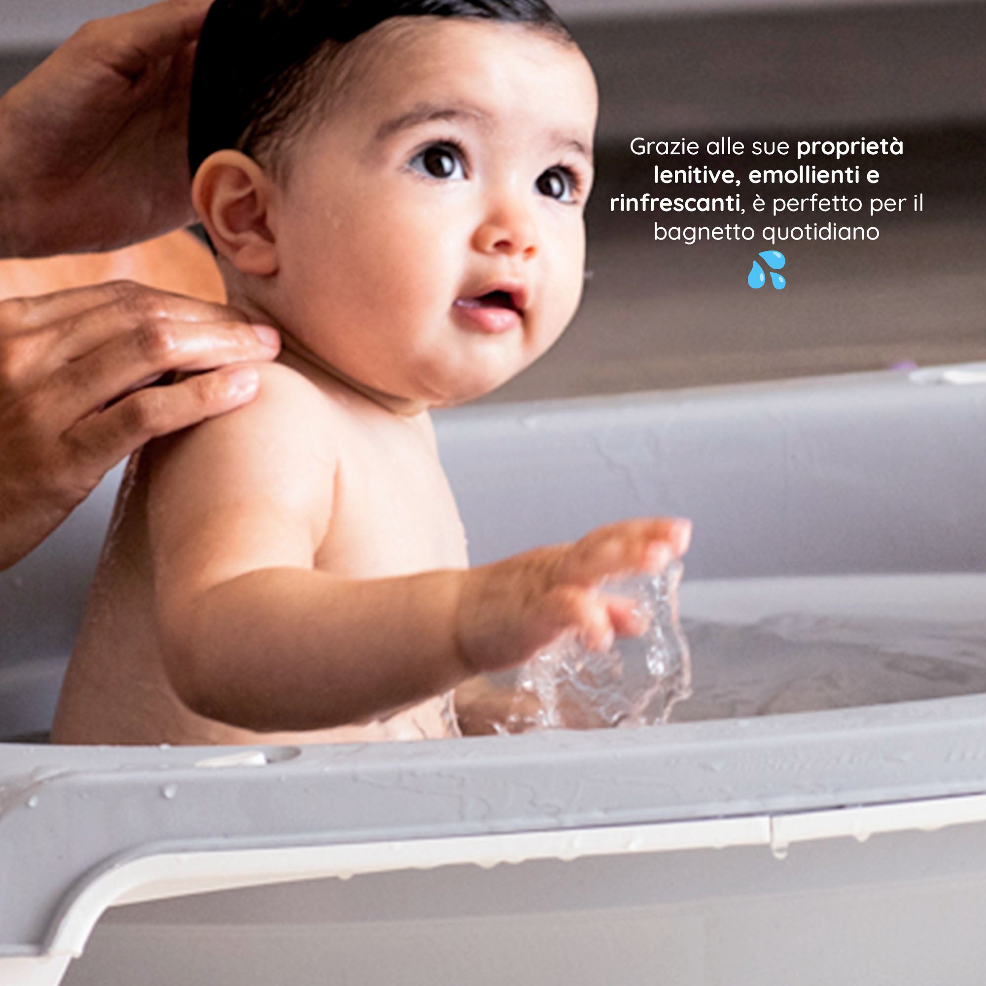 Amido di Riso in Cannoli