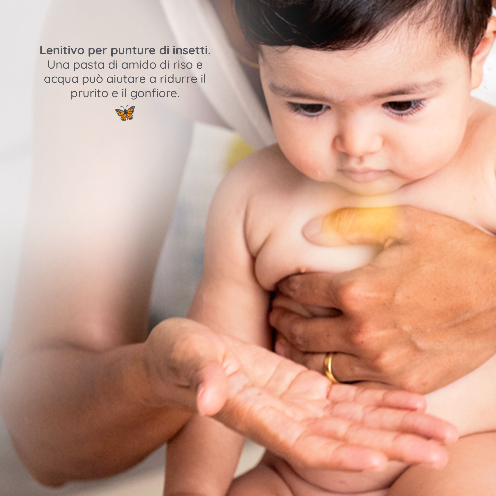 Amido di Riso in Cannoli